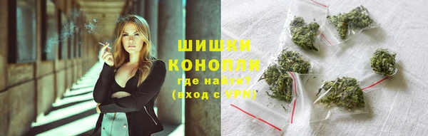 хмурый Елизово