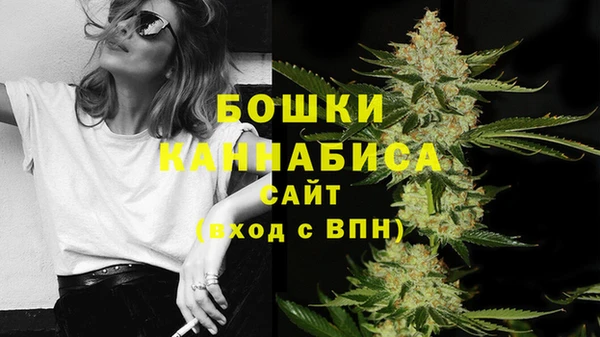 хмурый Елизово