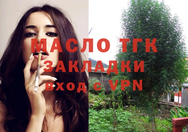 хмурый Елизово