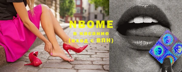 хмурый Елизово